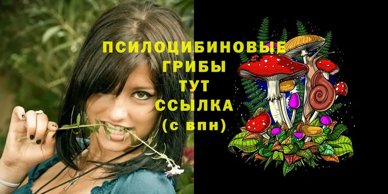 Галлюциногенные грибы Psilocybe  mega зеркало  Благодарный  где найти наркотики 