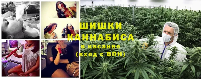 наркотики  Благодарный  Бошки марихуана THC 21% 